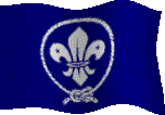Scout Flag